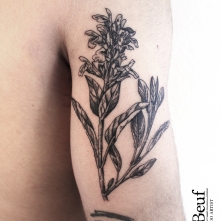 tattoo_24