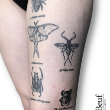 tattoo_50'
