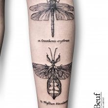 tattoo_50''