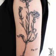 tattoo_67