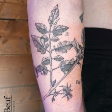 tattoo_49